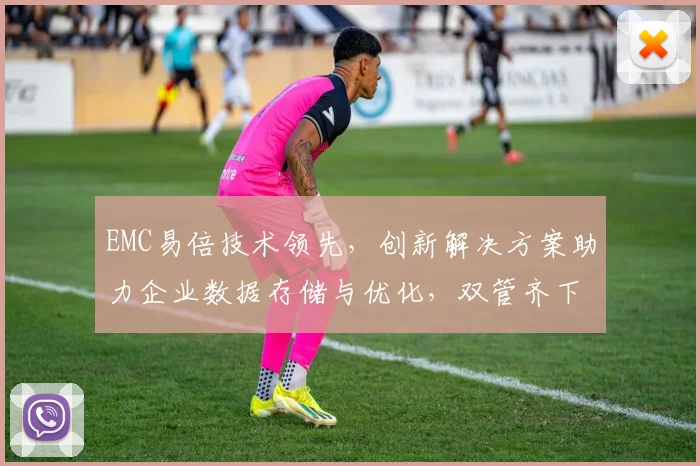 EMC易倍技术领先，创新解决方案助力企业数据存储与优化，双管齐下提升效率