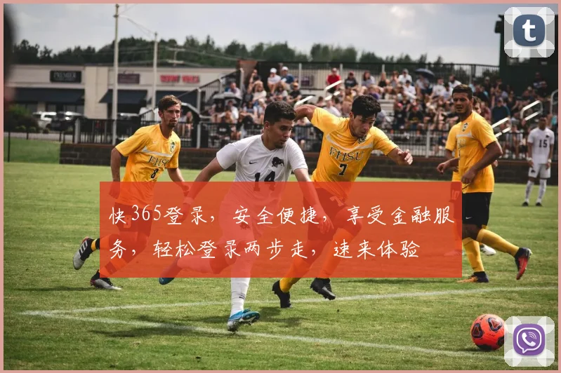 快365登录，安全便捷，享受金融服务，轻松登录两步走，速来体验